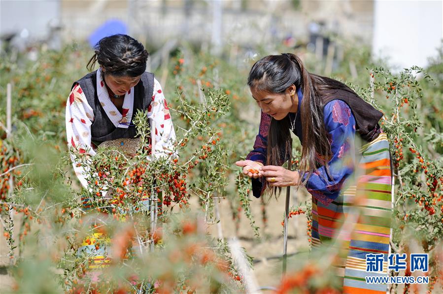 （新華全媒頭條&middot;兩會特別報道&middot;圖文互動）（7）在推進高質量發展中創造廣闊空間&mdash;&mdash;從全國兩會看奮進中國的發展機遇