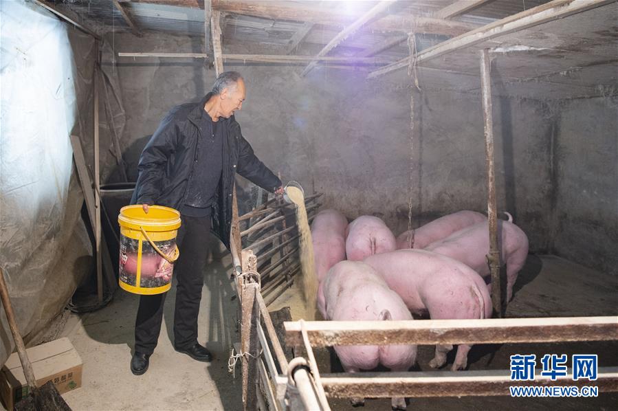 (圖文互動)(5)從“輕工漁網重工馬掌”到“圓夢小康”——“中國東極”脫貧攻堅剪影