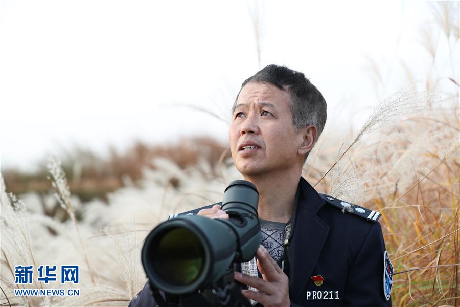 （新春走基層&middot;圖文互動）他們，默默守護(hù)候鳥