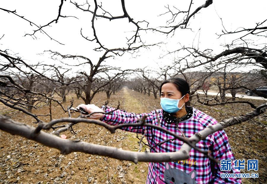 (聚焦疫情防控·圖文互動)(3)農民工返城:幾多憧憬幾許等待——走進疫情下的河北勞務輸出專業村