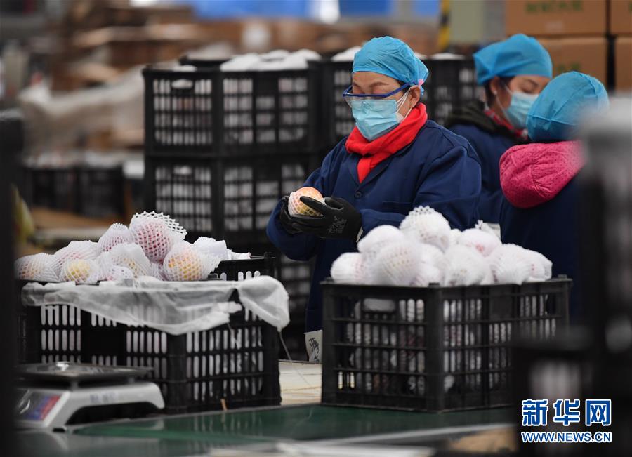 （聚焦疫情防控&middot;圖文互動）（4）&ldquo;一輛輛車出發，春暖花開的日子就不遠了&rdquo;&mdash;&mdash;西北電商大縣陜西省武功縣復工見聞