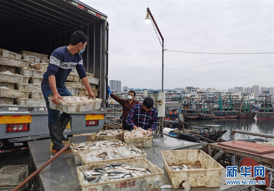 （圖文互動）（5）與疫情抗?fàn)?與春光同行&mdash;&mdash;廣西農(nóng)村春耕備耕一線觀察