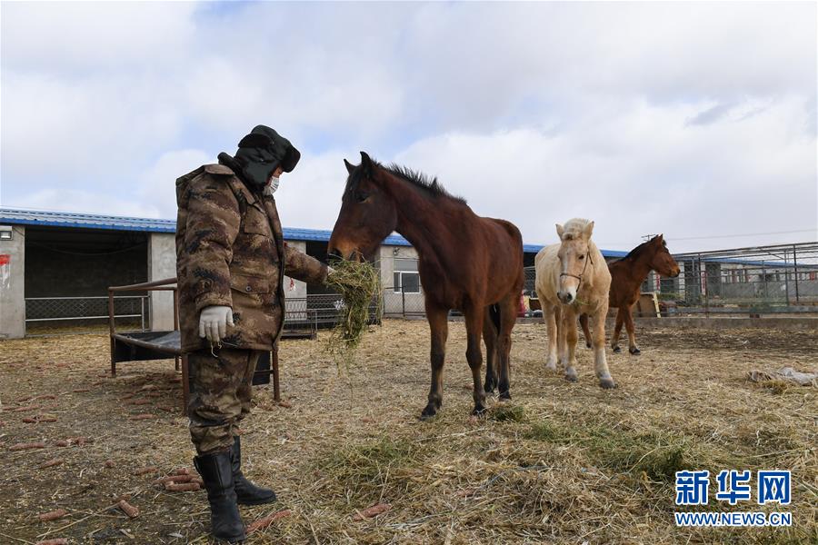 (聚焦疫情防控·圖文互動)(1)行進(jìn)在鄉(xiāng)間的馬背巡邏隊