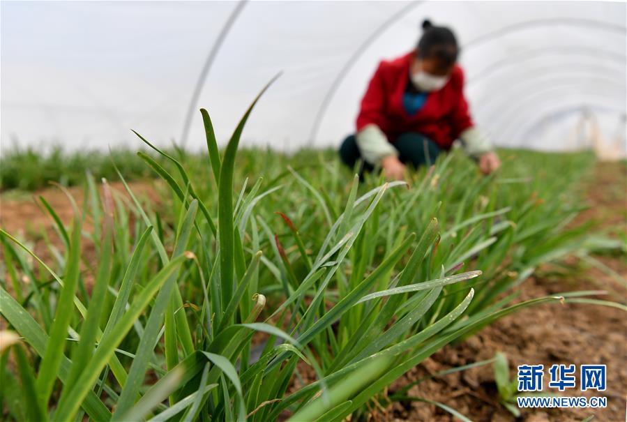 （圖文互動）（3）&ldquo;春天到了，熟悉的生活正在慢慢回來&rdquo;&mdash;&mdash;陜西多地復(fù)產(chǎn)復(fù)工一線見聞