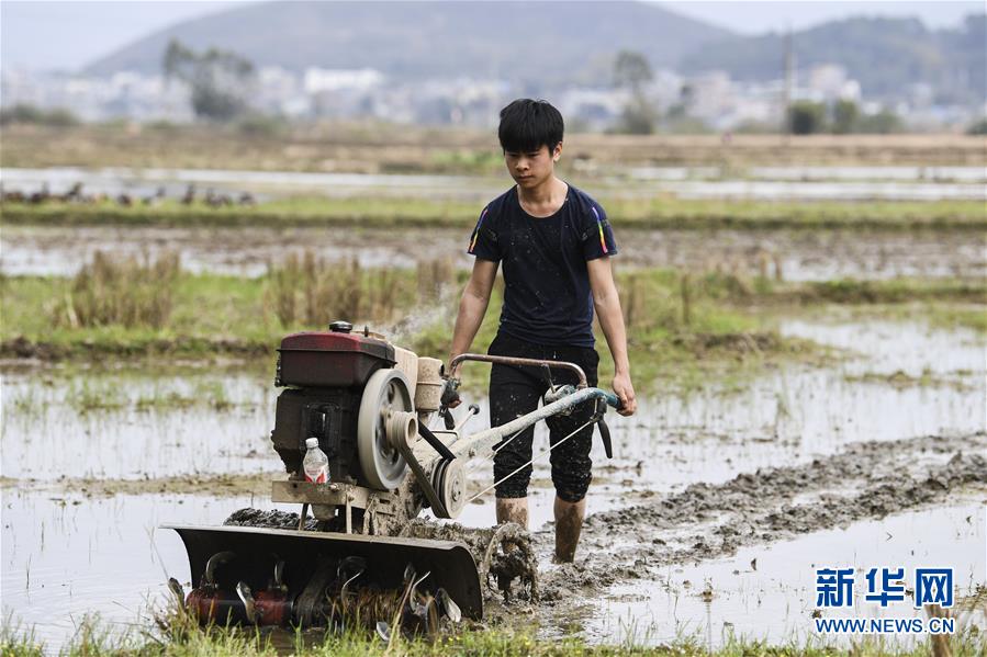 (社會(huì))(1)廣西桂平:春耕正當(dāng)時(shí)