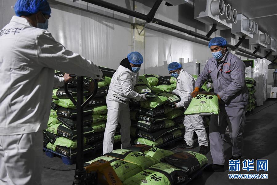 (抓好經濟發展 應對復雜局面·圖文互動)(1)“一企一策”解難題 大項目按下“加速器”——廣西精準有序推動項目開工復工