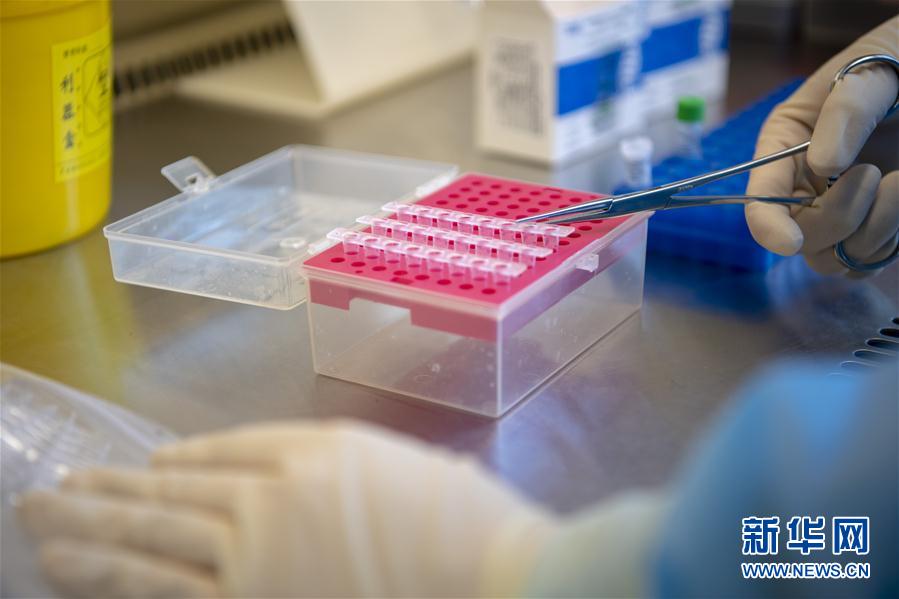 (一線抗疫群英譜·圖文互動)(4)“90后”檢驗員張慧變:每個樣本都是一份沉甸甸的責任