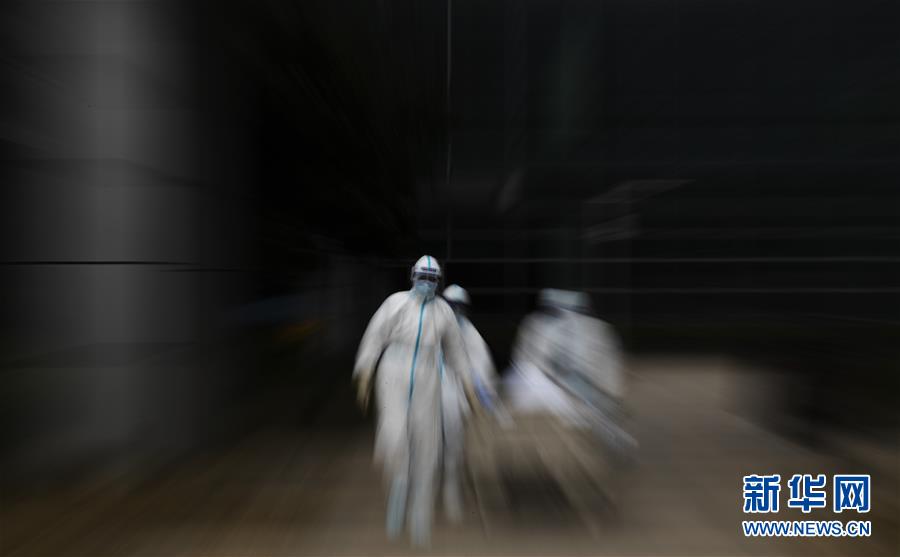 （聚焦疫情防控&middot;圖文互動）（13）這個春天，期待已久