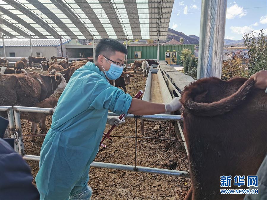 （決戰決勝脫貧攻堅&middot;圖文互動）（2）脫貧&ldquo;不暫停&rdquo; 服務&ldquo;不打烊&rdquo;&mdash;&mdash;天津通過&ldquo;云端&rdquo;幫扶為甘肅受援地區戰貧繼續助力