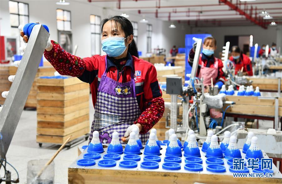 （決戰決勝脫貧攻堅&middot;圖文互動）（6）天然&ldquo;寶貝&rdquo;促增收&mdash;&mdash;貴州錦屏縣培育扶貧產業見聞