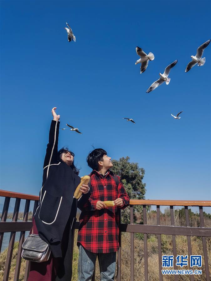 (一線抗疫群英譜·圖文互動)(1)大學(xué)生志愿者譚藝西:在武漢,我和媽媽共戰(zhàn)“疫”