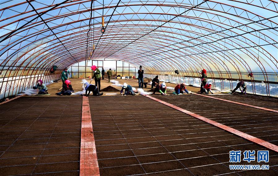 （在習近平新時代中國特色社會主義思想指引下&mdash;&mdash;新時代新作為新篇章&middot;習近平總書記關切事&middot;圖文互動）（5）希望的田野，希望的春天&mdash;&mdash;各地農業生產新動態掃描