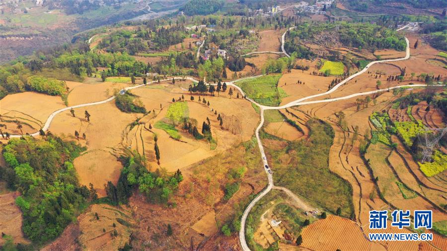 （決戰(zhàn)決勝脫貧攻堅(jiān)&middot;圖文互動(dòng)）（2）寄相思，償夙愿&mdash;&mdash;5封清明&ldquo;家書&rdquo;里的決戰(zhàn)決勝信念