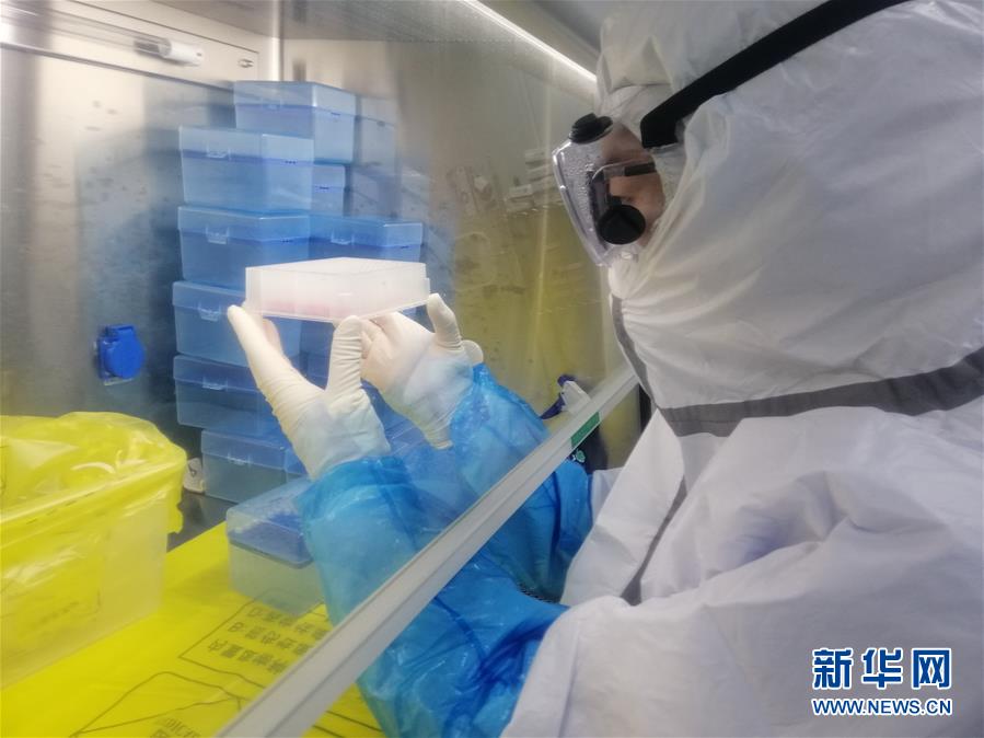 （一線抗疫群英譜&middot;圖文互動）（2）&ldquo;95后&rdquo;大學生郝鶯歌：退掉車票，她選擇直面病毒