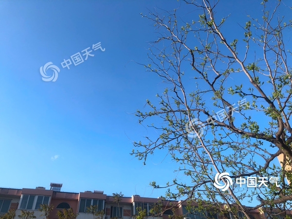 陣風(fēng)8級!北京遭遇雨后大降溫 北風(fēng)勁吹需添衣