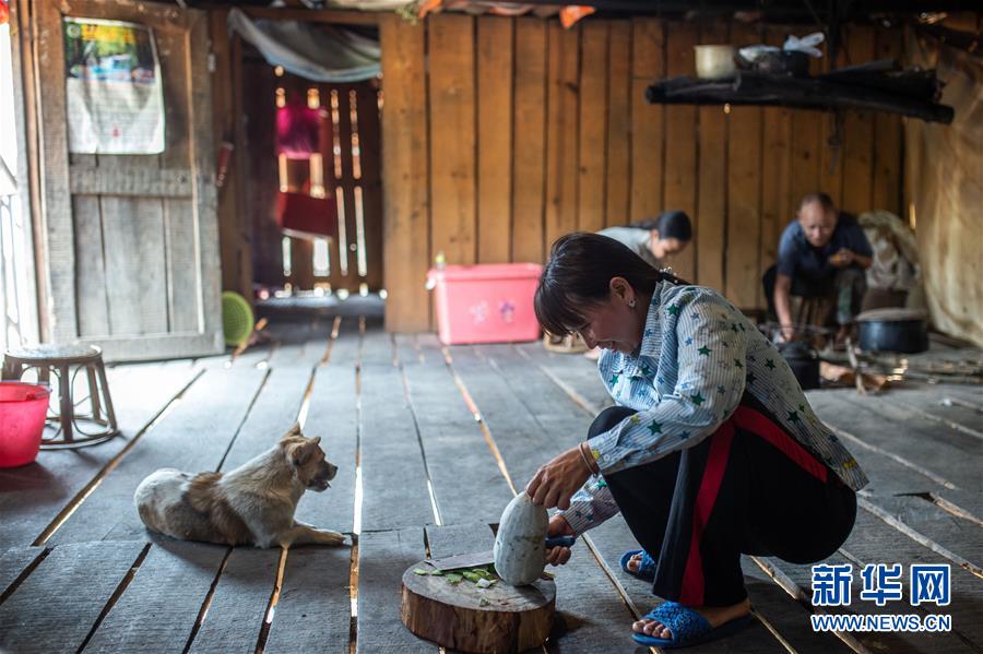 (決戰(zhàn)決勝脫貧攻堅·圖文互動)(8)“孩子再也不用學打獵了”——拉祜族女獵手告別狩獵