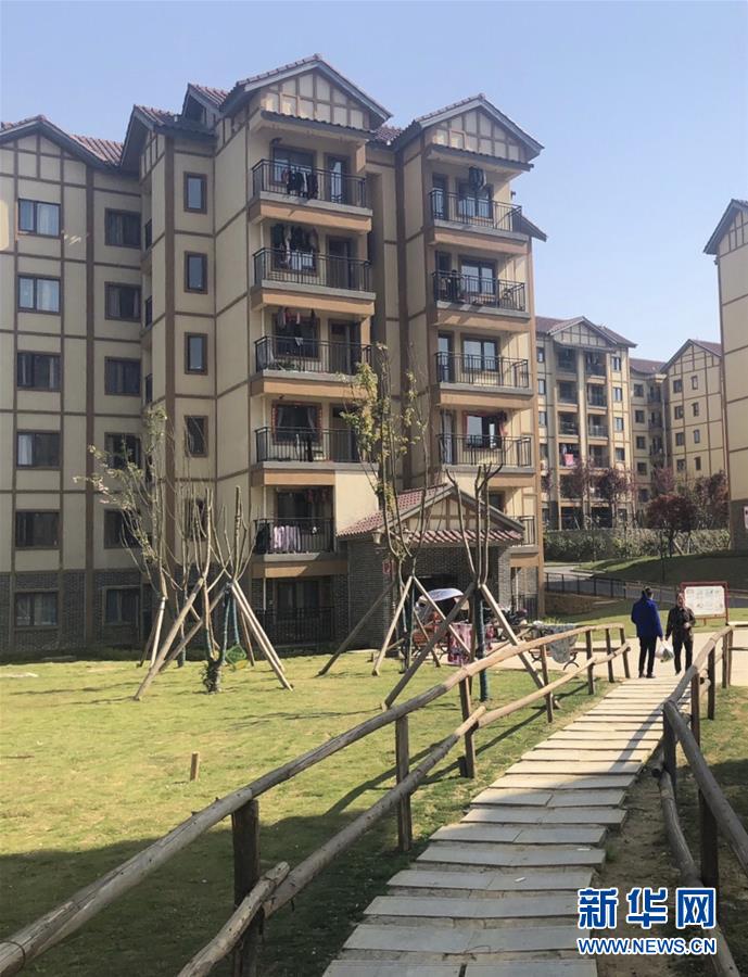 (圖文互動)(2)柏楊林的“樣板間”