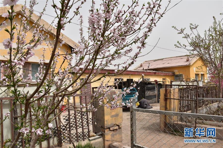 (圖文互動)(1)“桃花源”里話豐年 ——帕米爾山區一處扶貧搬遷點見聞