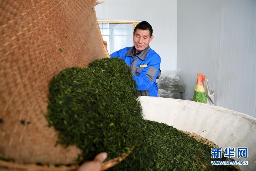 (新華全媒頭條·圖文互動)(5)紅土地上的“綠色減貧”決戰——大別山“將軍縣”金寨脫貧紀實