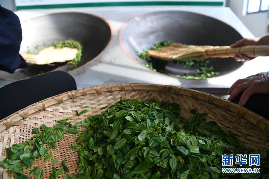 (新華全媒頭條·圖文互動)(9)紅土地上的“綠色減貧”決戰——大別山“將軍縣”金寨脫貧紀實