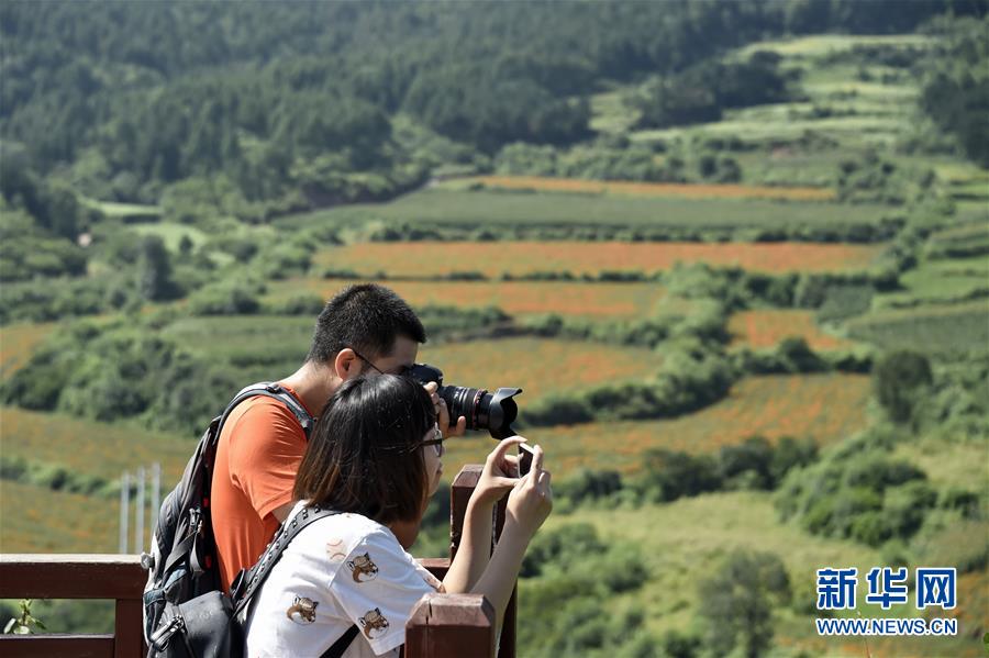 (圖文互動)(1)這座小城,鐫刻下怎樣的“世園印記”——北京世園會開園一周年探訪延慶