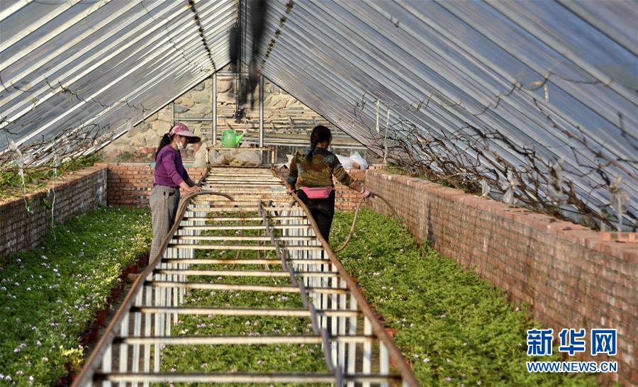 (圖文互動)(2)這座小城,鐫刻下怎樣的“世園印記”——北京世園會開園一周年探訪延慶