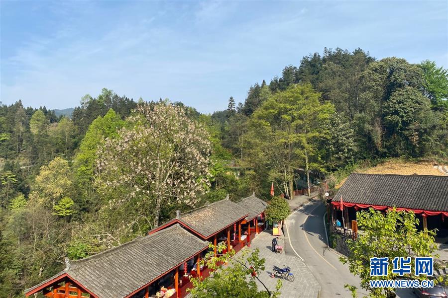 （決戰決勝脫貧攻堅&middot;圖文互動）（1）深山苗寨的別樣春天&mdash;&mdash;疫情下的十八洞村見聞