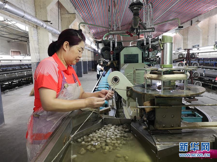 (決戰決勝脫貧攻堅·圖文互動)(2)桑蠶養殖助力太行山區農戶增收