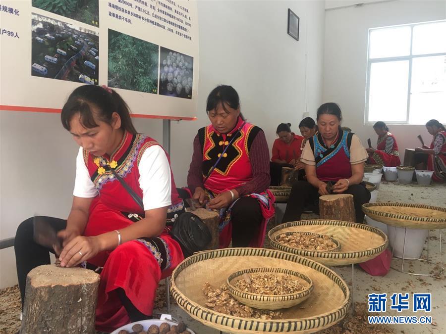 (新華全媒頭條·聚焦“三區(qū)三州”脫貧攻堅(jiān)·圖文互動)(2)向深度貧困“堡壘”發(fā)起最后總攻——寫在“三區(qū)三州”脫貧攻堅(jiān)關(guān)鍵時點(diǎn)