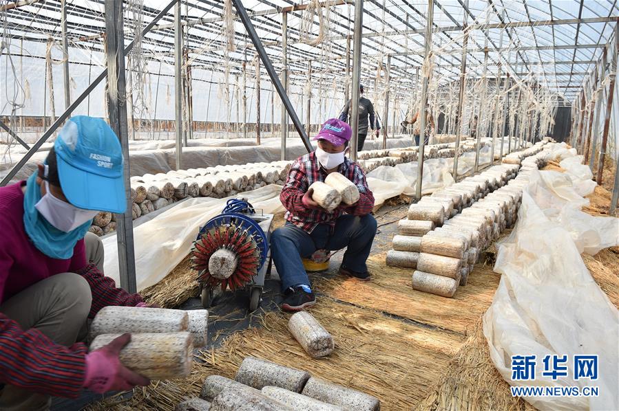 (決戰決勝脫貧攻堅·圖文互動)(4)長白山下唱新篇——吉林延邊州脫貧攻堅觀察