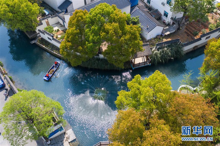 （新華全媒頭條&middot;圖文互動）（6）從&ldquo;藍圖規(guī)劃&rdquo;到美麗&ldquo;現(xiàn)實畫卷&rdquo;&mdash;&mdash;長三角一體化高質(zhì)量發(fā)展一年間