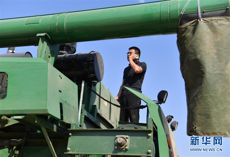 （關(guān)注三夏&middot;圖文互動(dòng)）（4）麥田&ldquo;后浪&rdquo;的農(nóng)事新說(shuō)