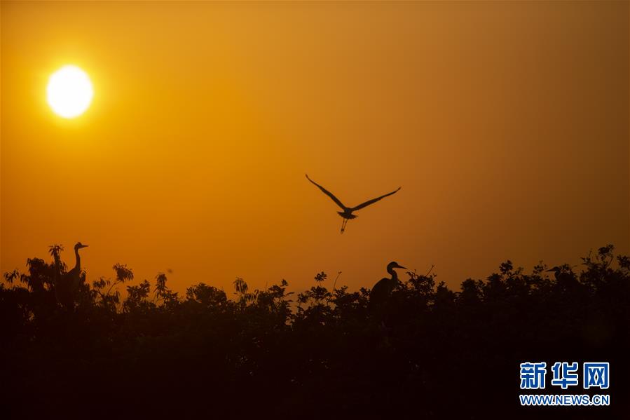(新華全媒頭條·圖文互動)(1)大湖新歌——我國兩大淡水湖全面生態(tài)修復(fù)進行時