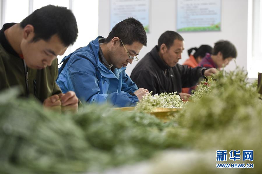 （在習(xí)近平新時(shí)代中國(guó)特色社會(huì)主義思想指引下&mdash;&mdash;新時(shí)代新作為新篇章&middot;習(xí)近平總書(shū)記關(guān)切事&middot;圖文互動(dòng)）（5）六盤(pán)山下的誓言&mdash;&mdash;來(lái)自寧夏的脫貧故事