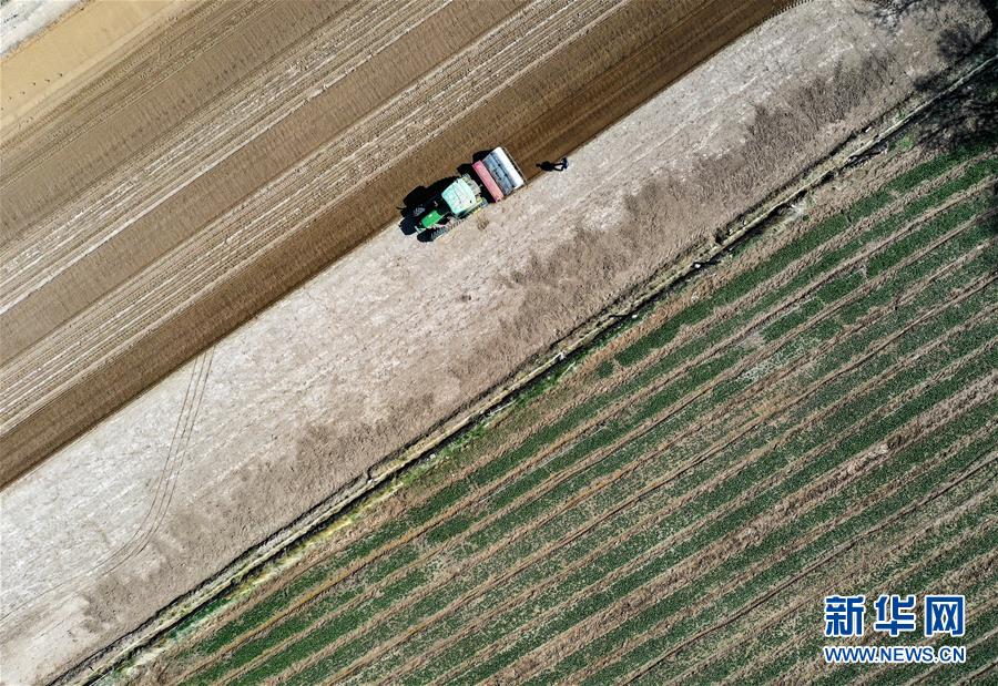 (新華全媒頭條·圖文互動)(11)中國北斗 服務全球——寫在我國完成北斗全球衛星導航系統星座部署之際