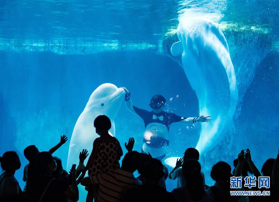 (社會(huì))(1)樂享端午假期