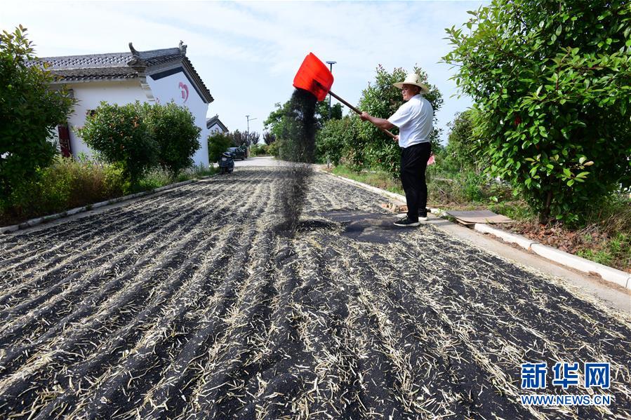 （決戰(zhàn)決勝脫貧攻堅(jiān)&middot;圖文互動(dòng)）（1）貧困戶老楊的人生&ldquo;三級跳&rdquo;