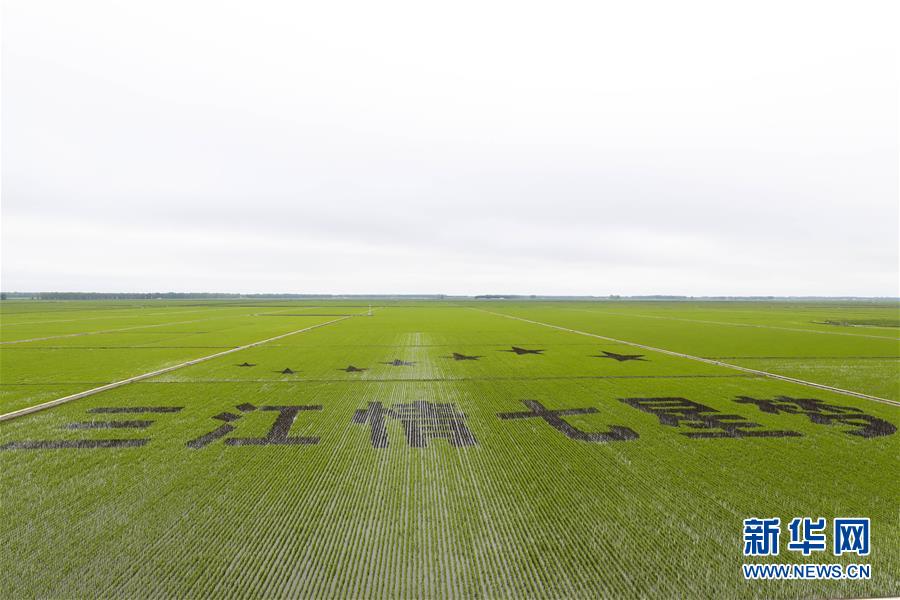 (走向我們的小康生活·圖文互動)(2)端牢“中國飯碗” 播種綠色小康