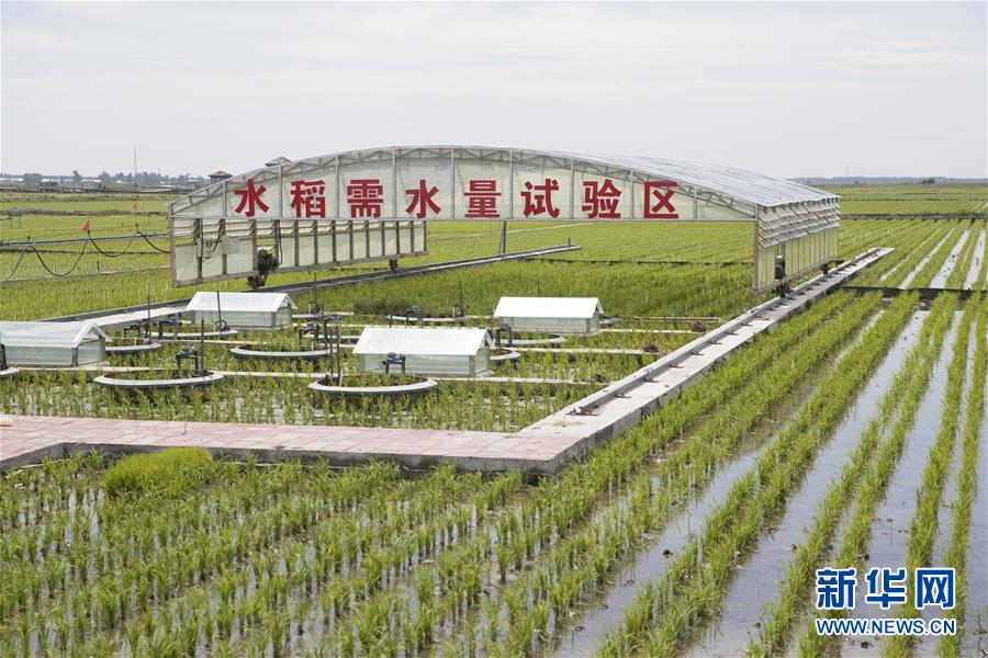 (走向我們的小康生活·圖文互動)(6)端牢“中國飯碗” 播種綠色小康