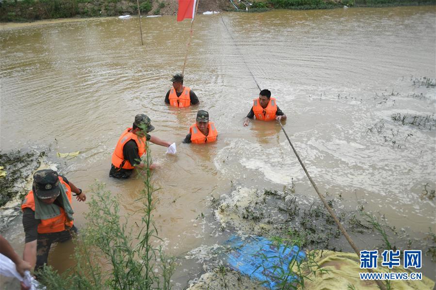 （防汛抗洪&middot;圖文互動）（1）&ldquo;大堤上有了&lsquo;導彈綠&rsquo;，我們老百姓安了心&rdquo;