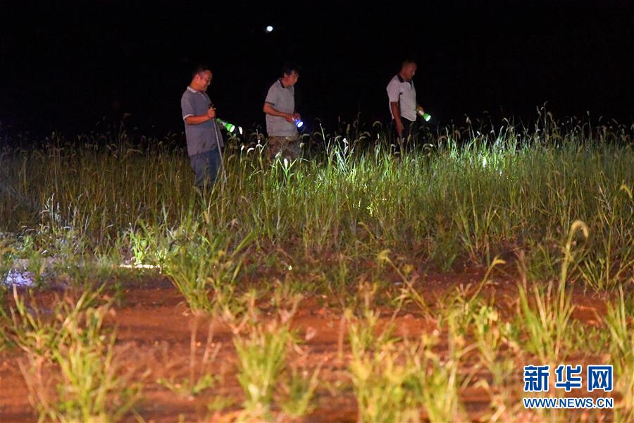 （防汛抗洪&middot;圖文互動）（2）&ldquo;保衛家園，誰都不能是旁觀者&rdquo;&mdash;&mdash;夜訪洞庭湖大堤防汛一線
