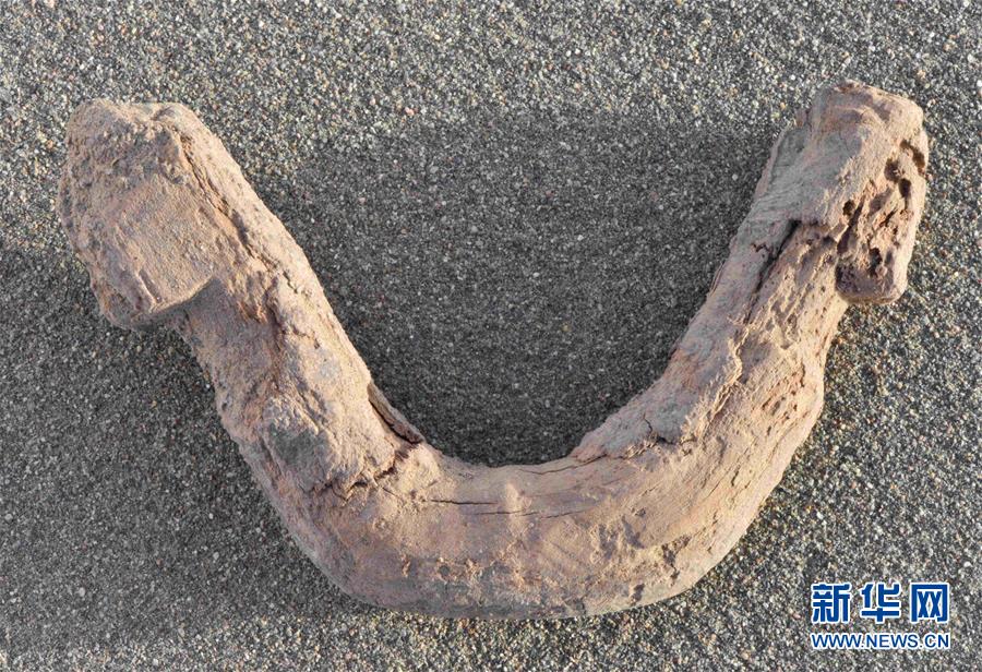 (圖文互動)(2)新疆尉犁縣克亞克庫都克烽燧遺址出土700多件唐代紙文書和木牘