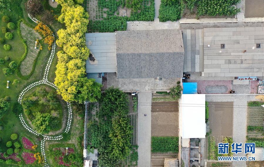 （新華全媒頭條&middot;走向我們的小康生活&middot;圖文互動）（1）&ldquo;南大荒&rdquo;變&ldquo;稻蟹鄉&rdquo;&mdash;&mdash;資源枯竭型城市盤錦的鄉村振興之路