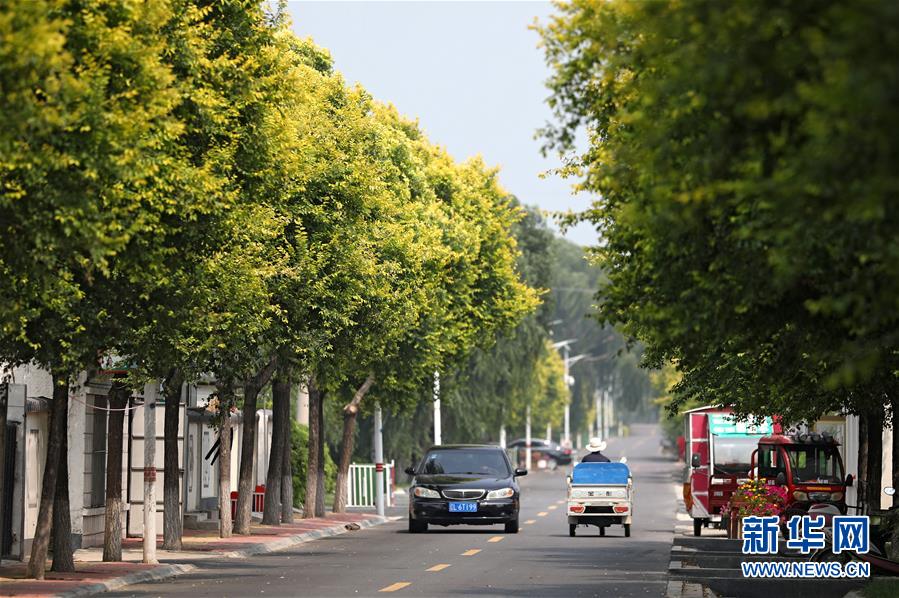 （新華全媒頭條&middot;走向我們的小康生活&middot;圖文互動）（3）&ldquo;南大荒&rdquo;變&ldquo;稻蟹鄉&rdquo;&mdash;&mdash;資源枯竭型城市盤錦的鄉村振興之路