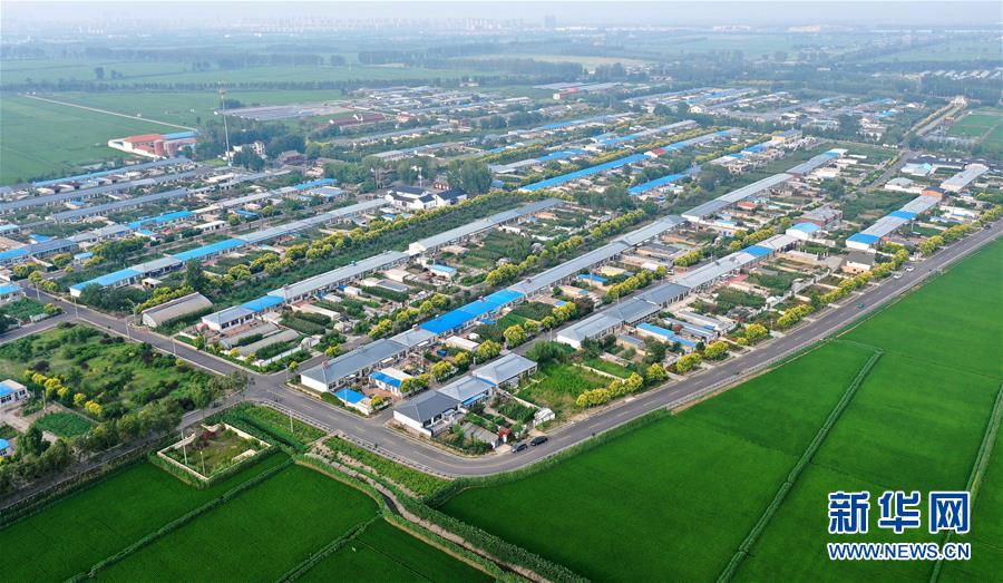 （新華全媒頭條&middot;走向我們的小康生活&middot;圖文互動）（4）&ldquo;南大荒&rdquo;變&ldquo;稻蟹鄉&rdquo;&mdash;&mdash;資源枯竭型城市盤錦的鄉村振興之路