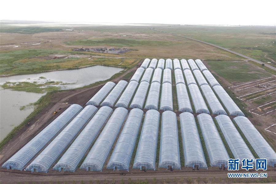 （決戰決勝脫貧攻堅&middot;圖文互動）（2）幸福村的幸福&ldquo;菜&rdquo;事