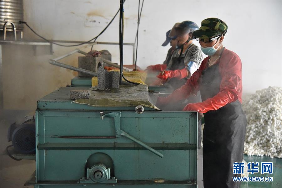 （決戰決勝脫貧攻堅&middot;圖文互動）（2）&ldquo;江南繅絲&rdquo;喀斯特深山扎根記