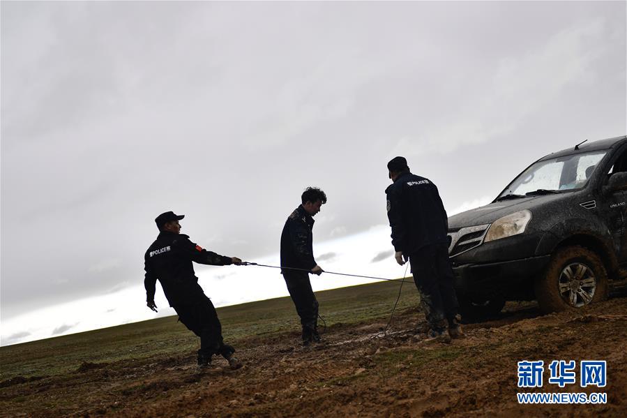 (圖文互動(dòng))(10)記者手記:可可西里,“挪”向“藏羚羊大產(chǎn)房”的14個(gè)半小時(shí)