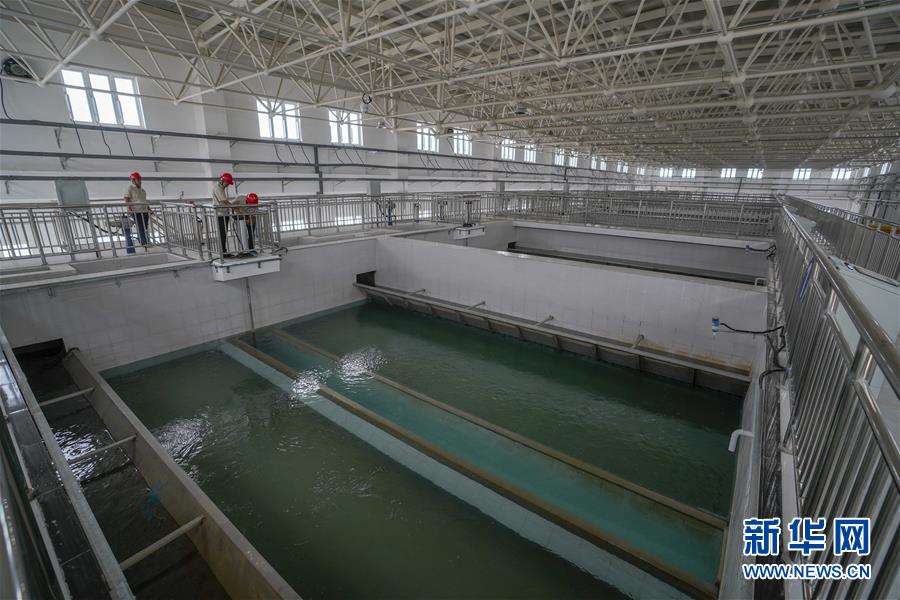 (決戰決勝脫貧攻堅·圖文互動)(3)改水記