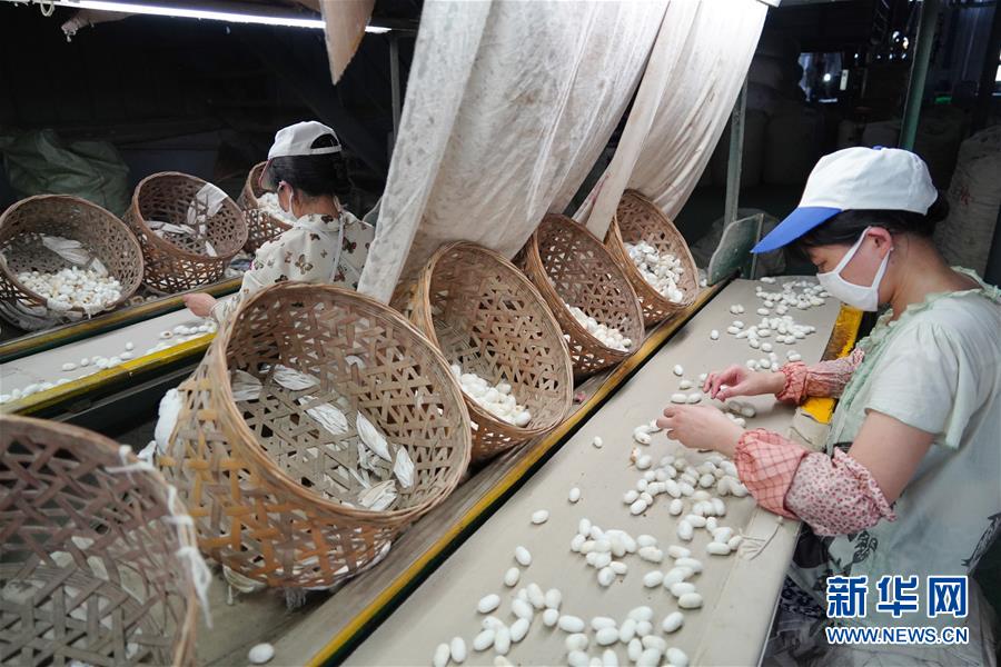 （走向我們的小康生活&middot;圖文互動）（1）綠了青山，紅了日子&mdash;&mdash;秦巴山區群眾繪出小康&ldquo;調色板&rdquo;